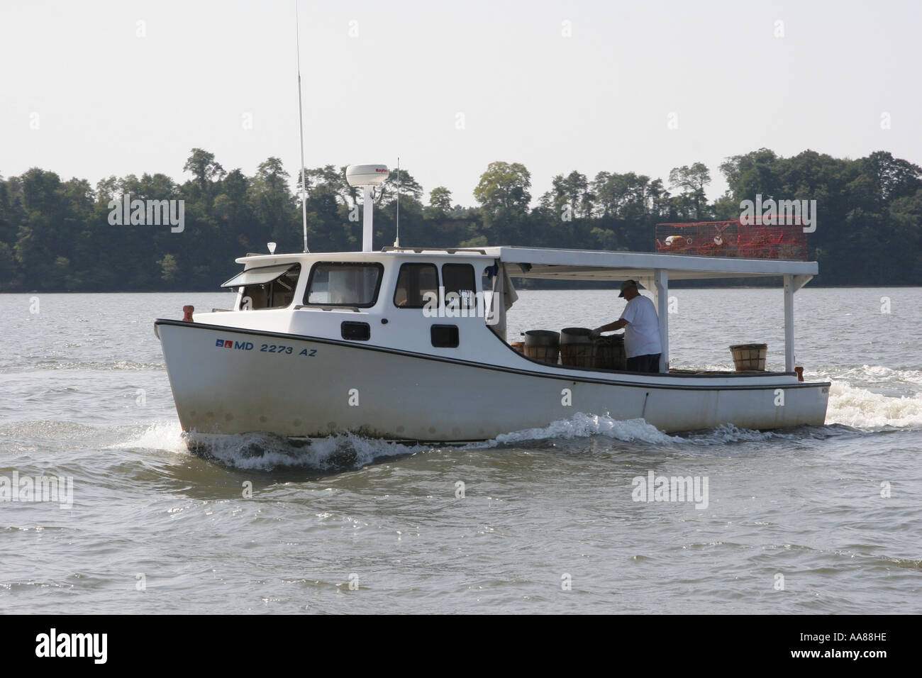Chesapeake Bay Workboat fangen Krebse Stockfoto