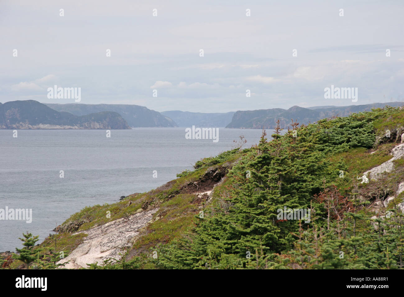Fernblick über White Bear Bay Stockfoto