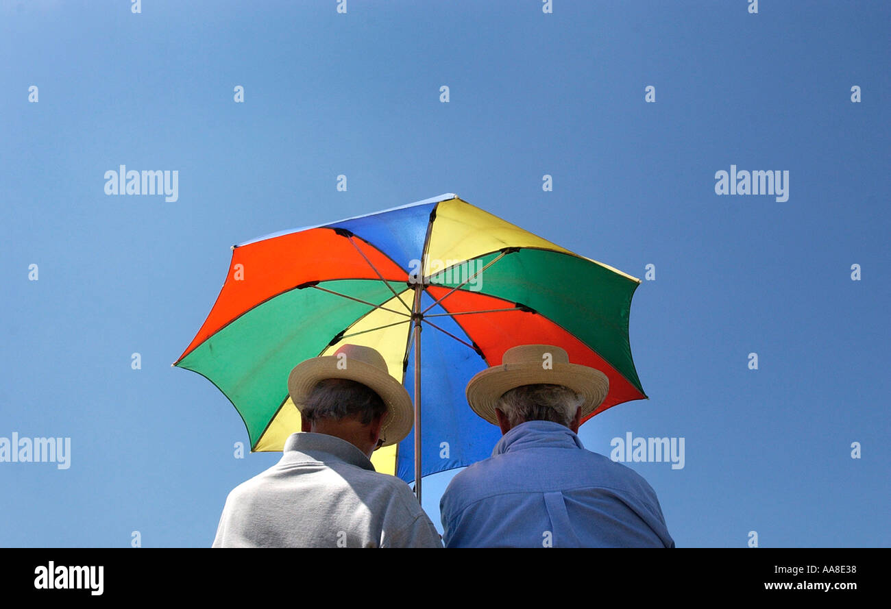 Cricket-Fans ertragen die Mitte Tag rundherum im Worcesterhire County Cricket Club England Stockfoto