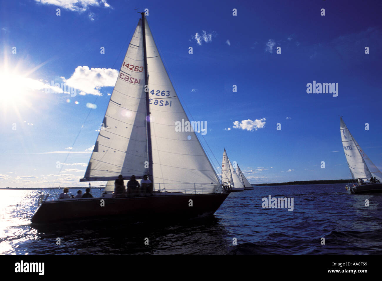 Segelboot Silhouette durch die untergehende Sonne Rennen entlang der Northumberland-gerade in der Nähe von Parlee New Brunswick, Kanada Stockfoto