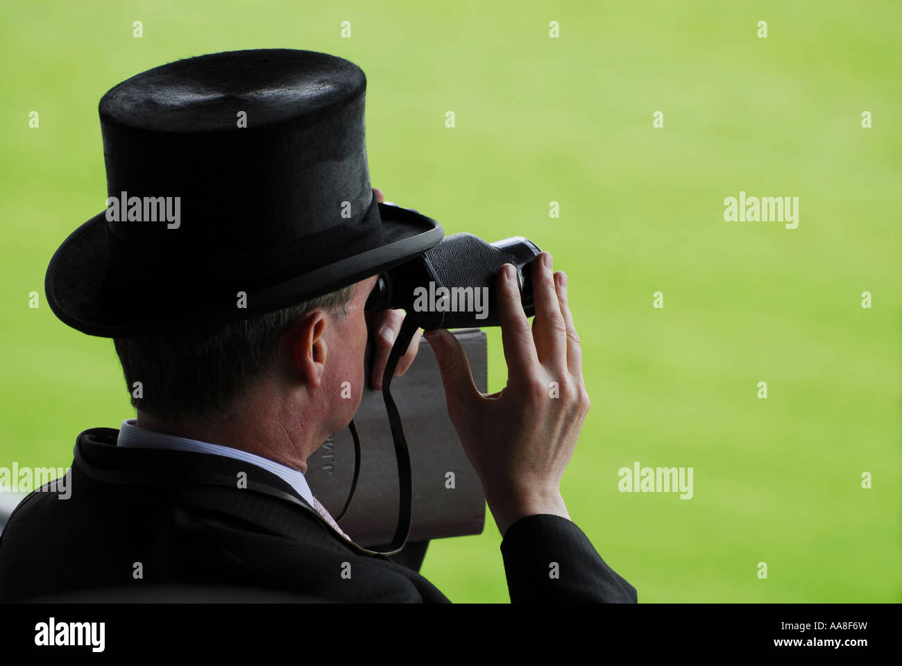 Zuschauer bei royal Ascot, Berkshire, england Stockfoto