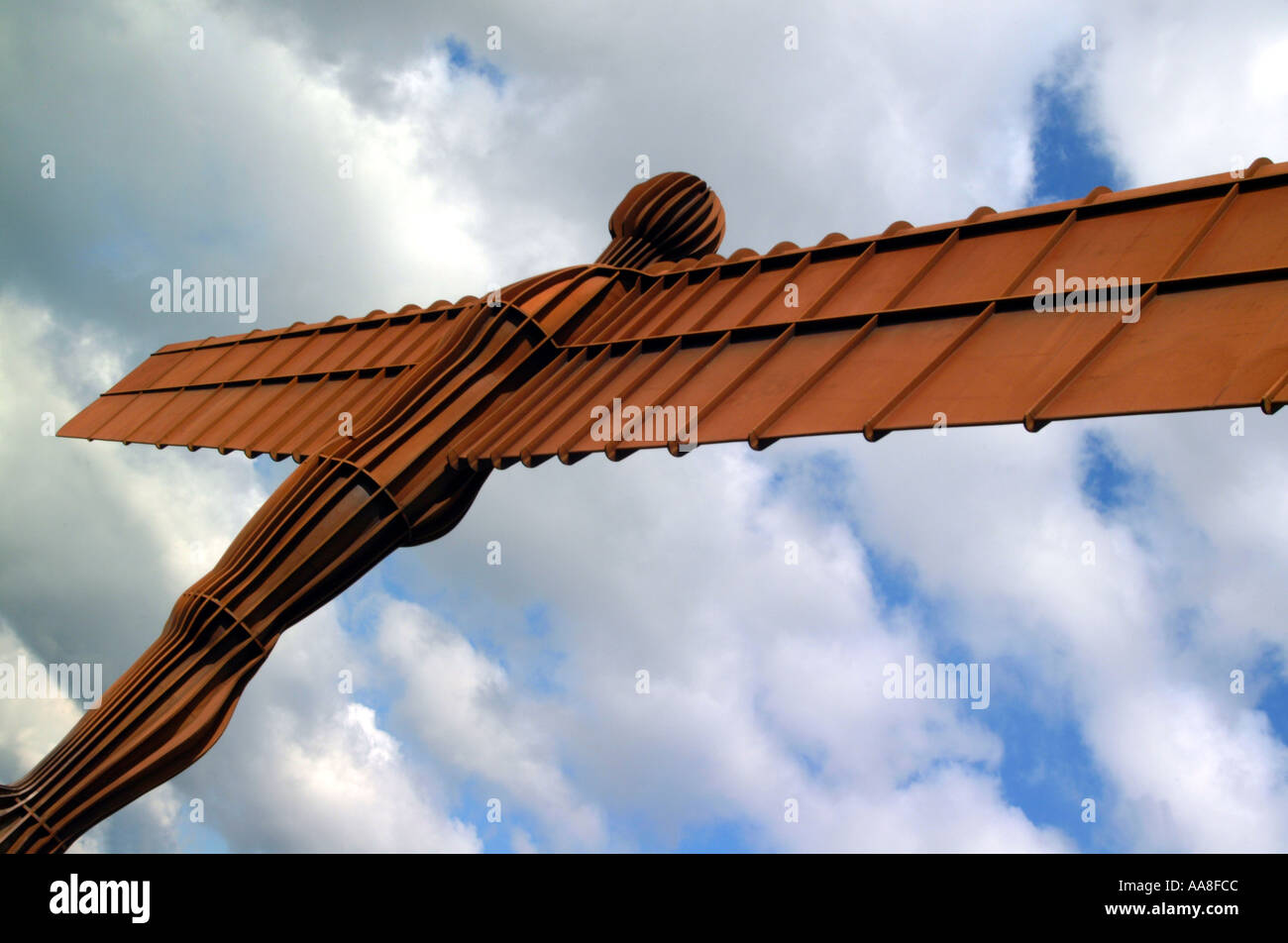 Engel des Nordens Stockfoto