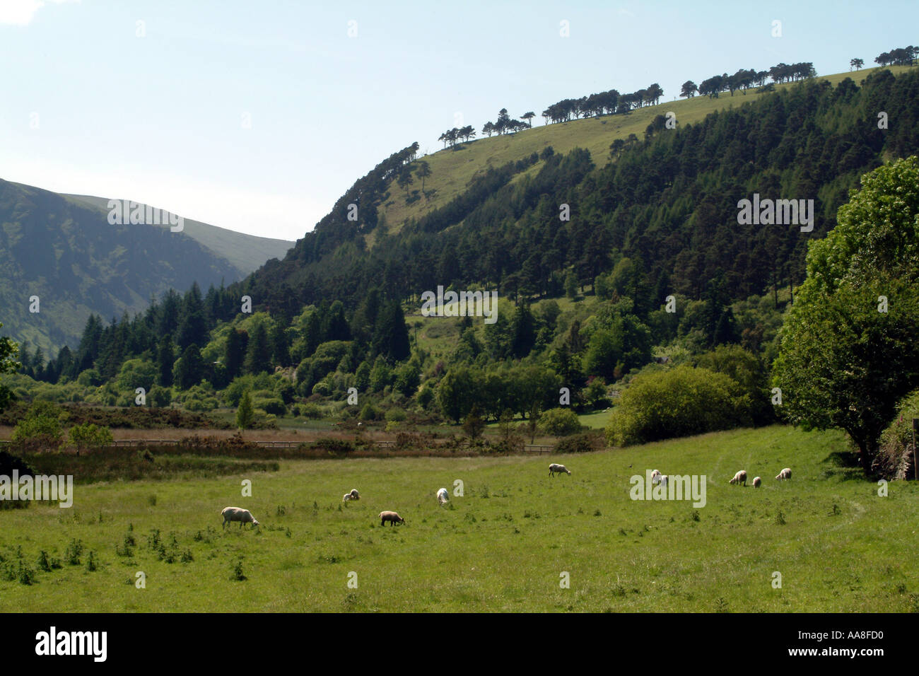 Wicklow Mountains Landschaft südlich von Dublin Irland EU Südeuropa Stockfoto