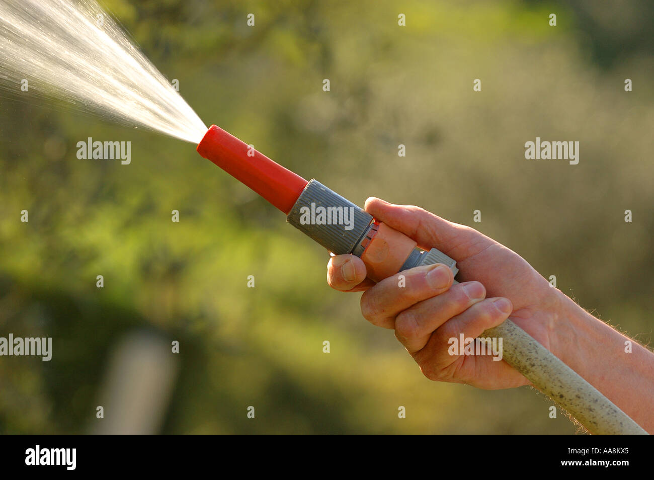 Einen Schlauch in ein Gartenbild von Andrew Hasson 22. April 2006 verwendet Stockfoto