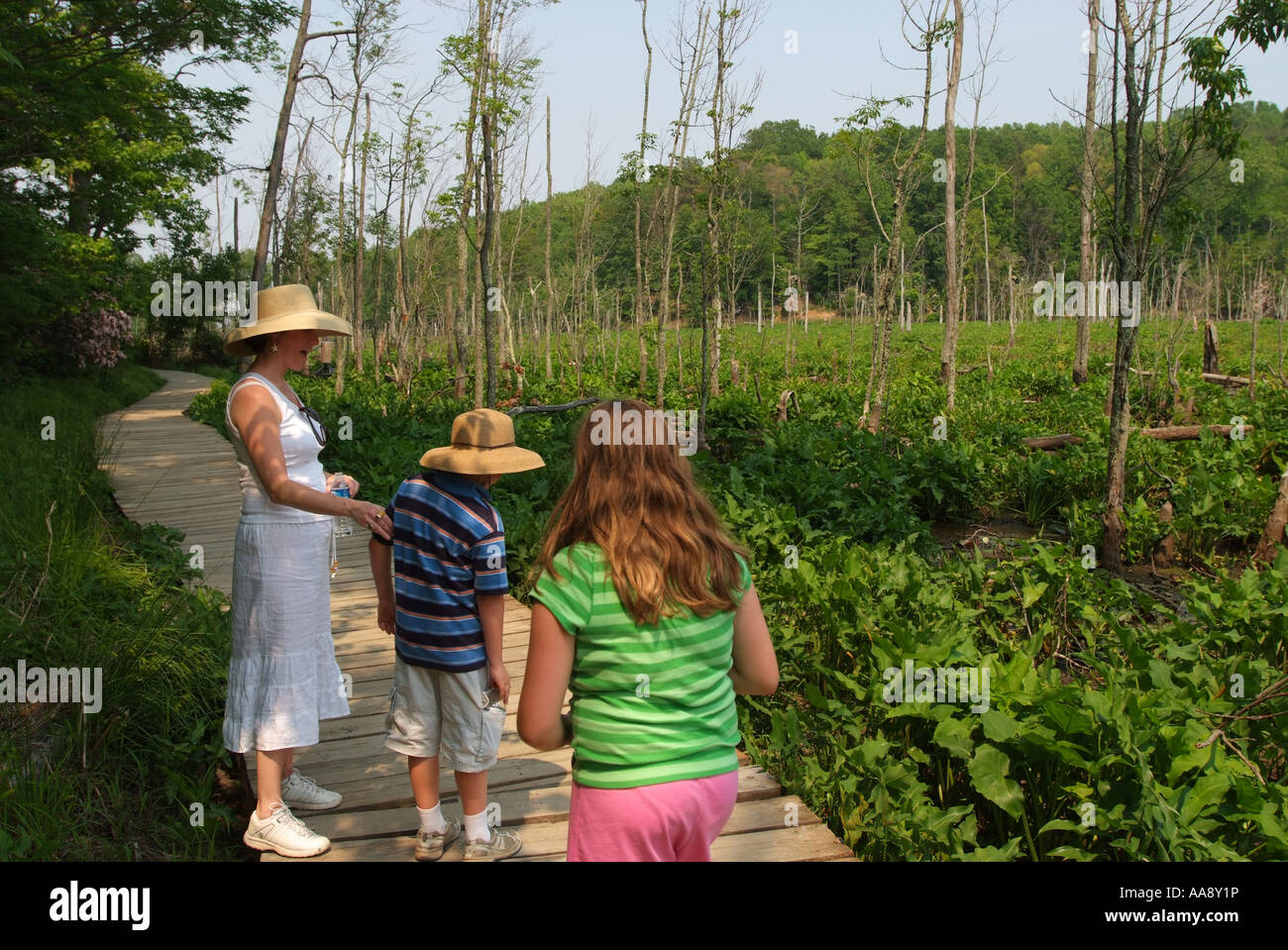 USA-Maryland Calvert Cliffs Staatspark Mutter und Kinder wandern entlang einer Promenade Weg durch das Moor Stockfoto