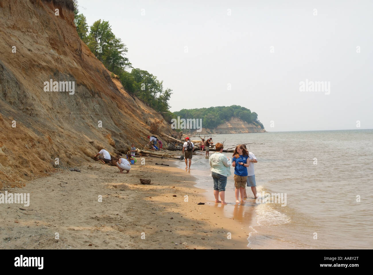 USA-Maryland Calvert Cliffs State Park Familien suchen Sie nach Fossilien und Muscheln Stockfoto