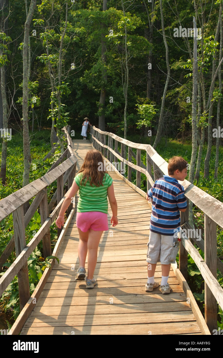 USA-Maryland Calvert Cliffs State Park Kinder zu Fuß entlang eines Pfades der Promenade, in einem Sumpf Stockfoto