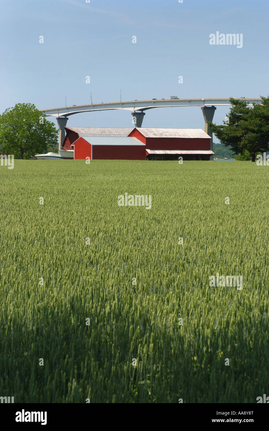 USA-Maryland Solomons Thomas Johnson Memorial Brücke über einen Bauernhof Stockfoto