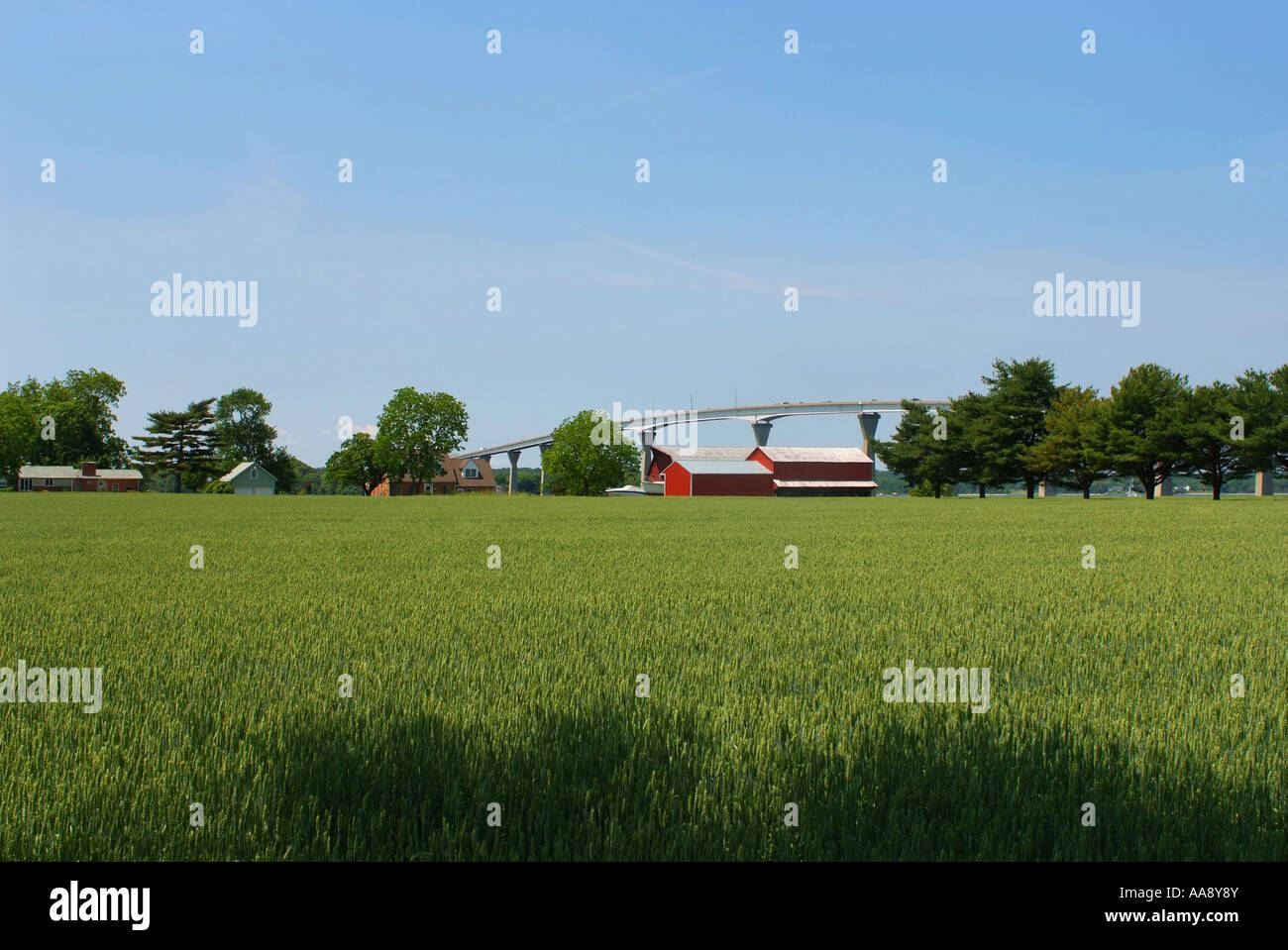 USA-Maryland Solomons Thomas Johnson Memorial Brücke über einen Bauernhof Stockfoto
