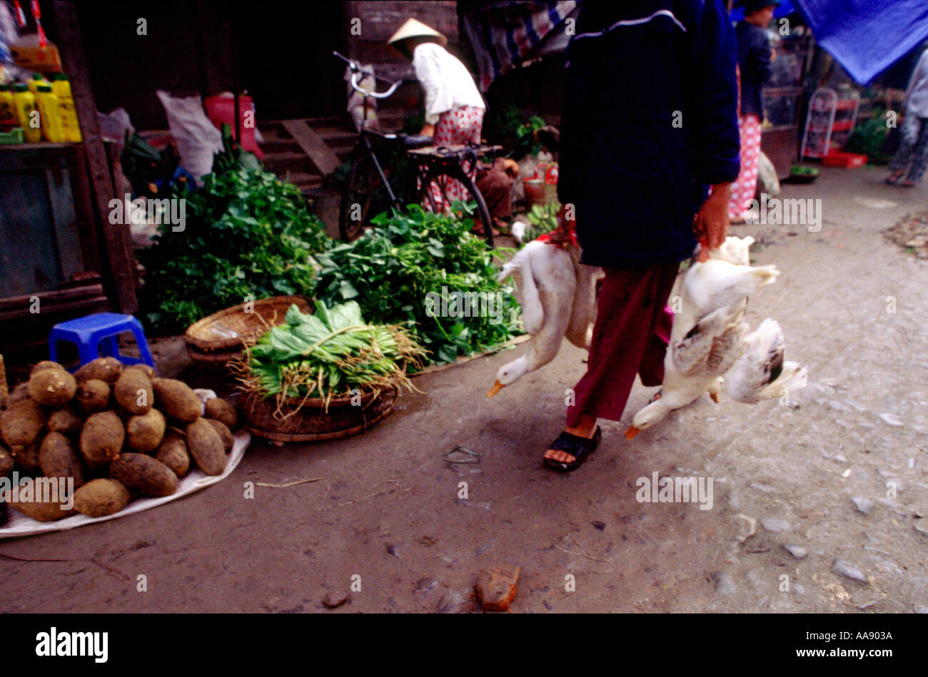 Hue-Markt waren eine Figur unterhalb Taille Pflege zwei Enten Vietnam fotografiert Stockfoto