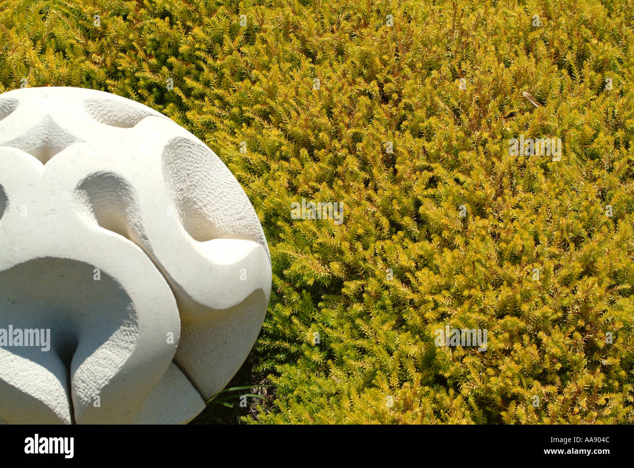 Erica Dryas Alpine Strauch zusammen mit weißem Stein Skulptur an Hillier Gardens Hampshire England Vereinigtes Königreich Großbritannien Stockfoto