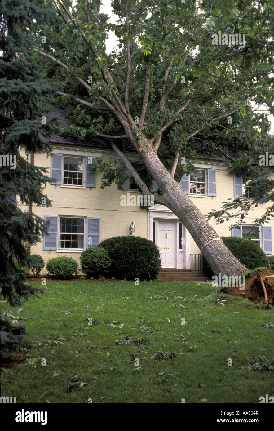 Ein Baum fällt auf einem Haus nach einem starken Sommergewitter Maryland USA Stockfoto