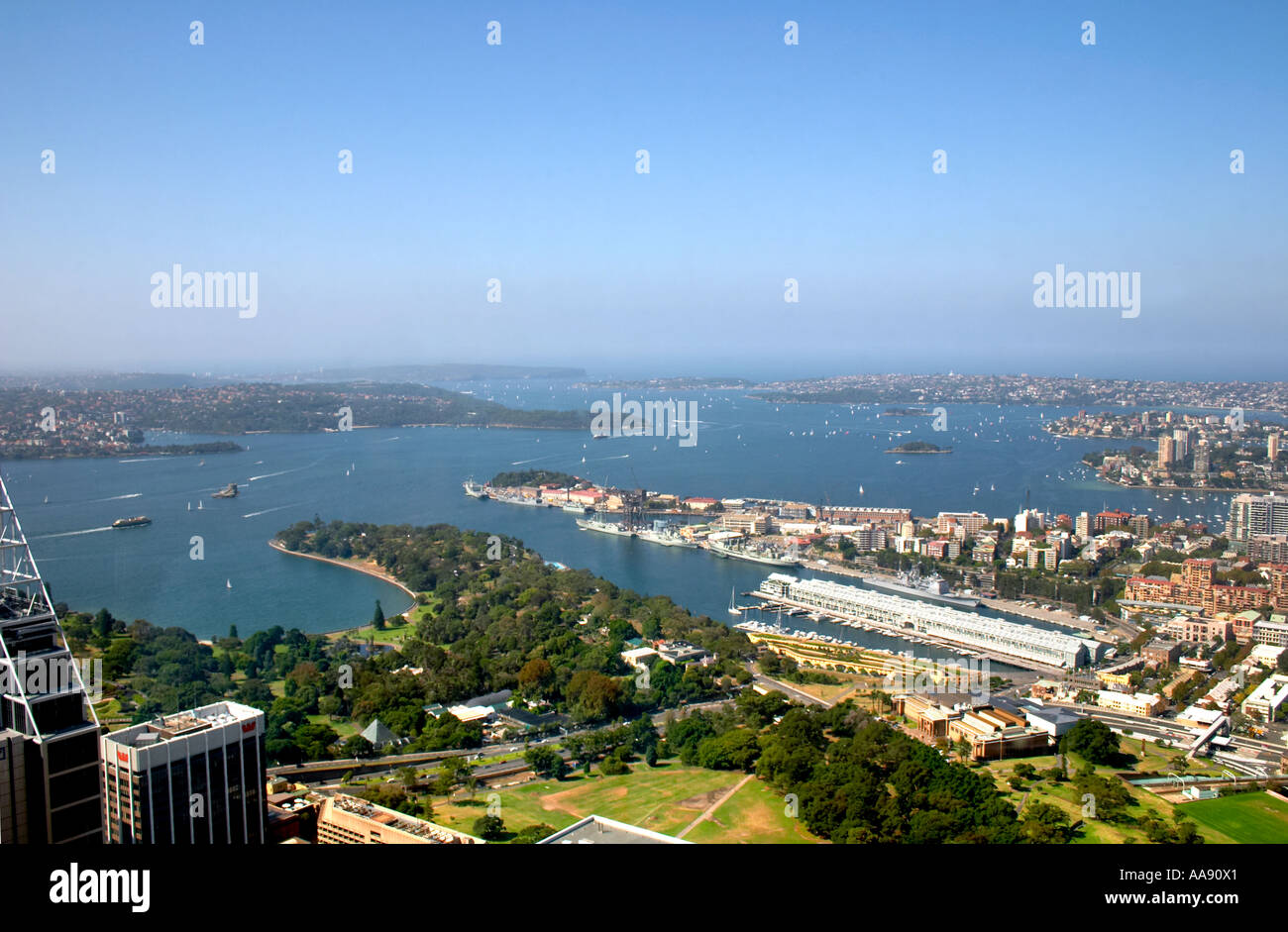 Blick auf den Hafen von Sydney Tower Australien Stockfoto