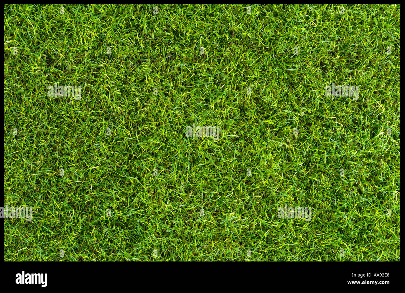 Grass Textur vollflächig Landschaft Stockfoto