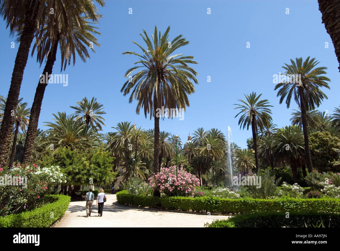 Palmen in der Piazza della Vittoria Palermo Sizilien Italien Stockfoto