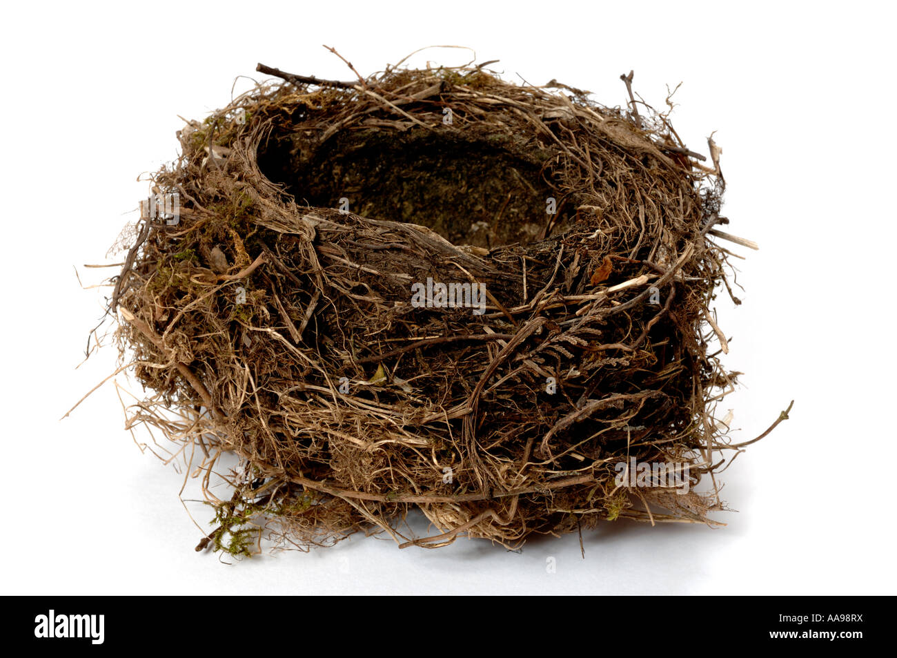 Vogelnest Stockfoto