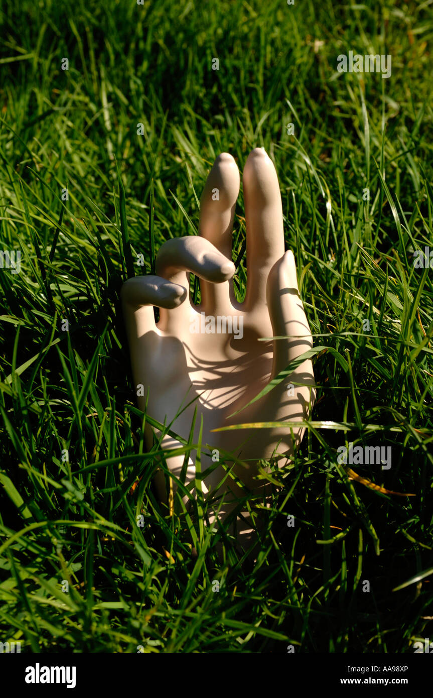 Schaufensterpuppe Hand in überwucherten Rasen Stockfoto