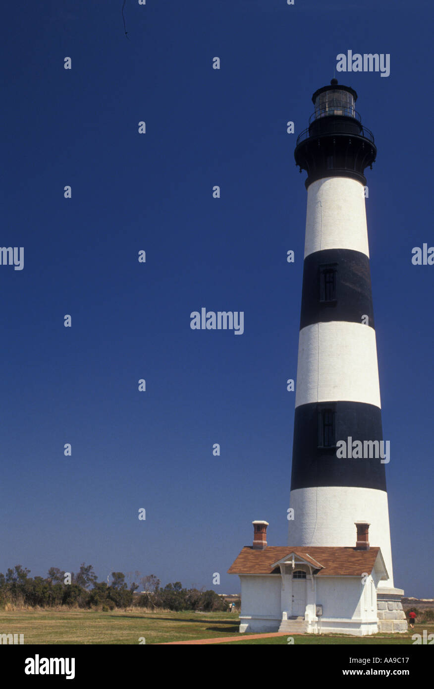 AJ11119, Cape Hatteras National Seashore, äußere Banken, North Carolina, NC Stockfoto