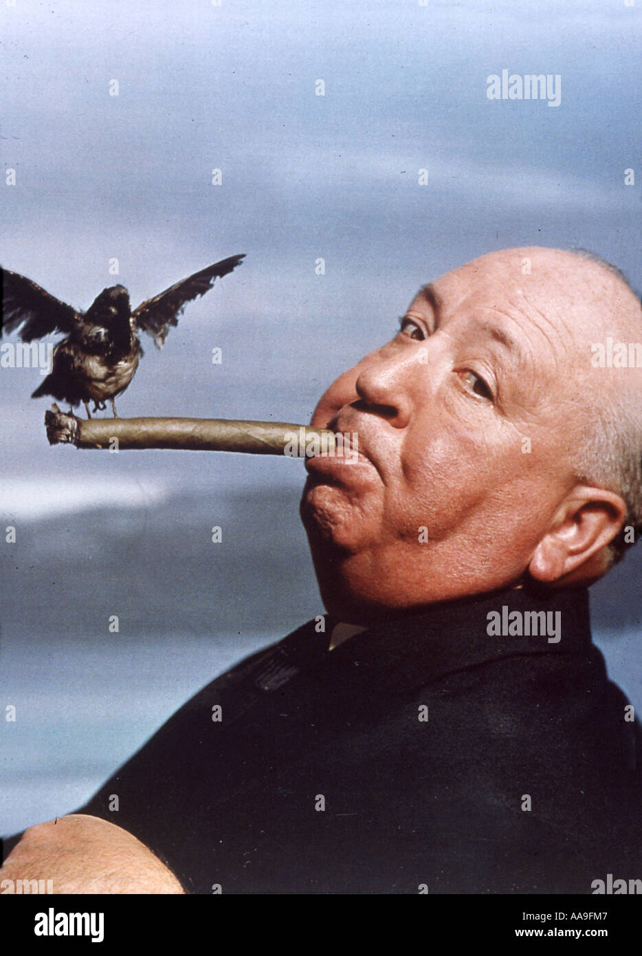 ALFRED HITCHCOCK Werbe Bild für seinen Film die Vögel 1963 Stockfoto
