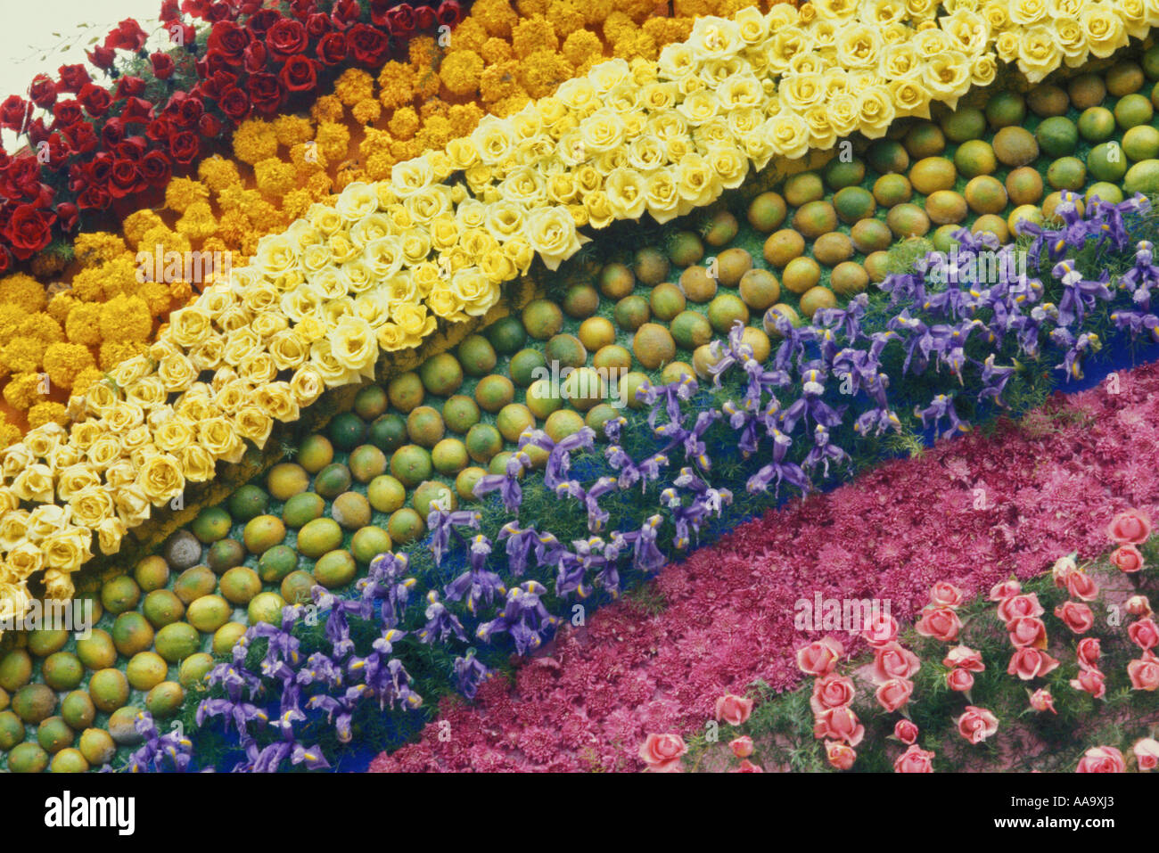 Tournament of Roses California Vereinigte Staaten von Amerika Stockfoto