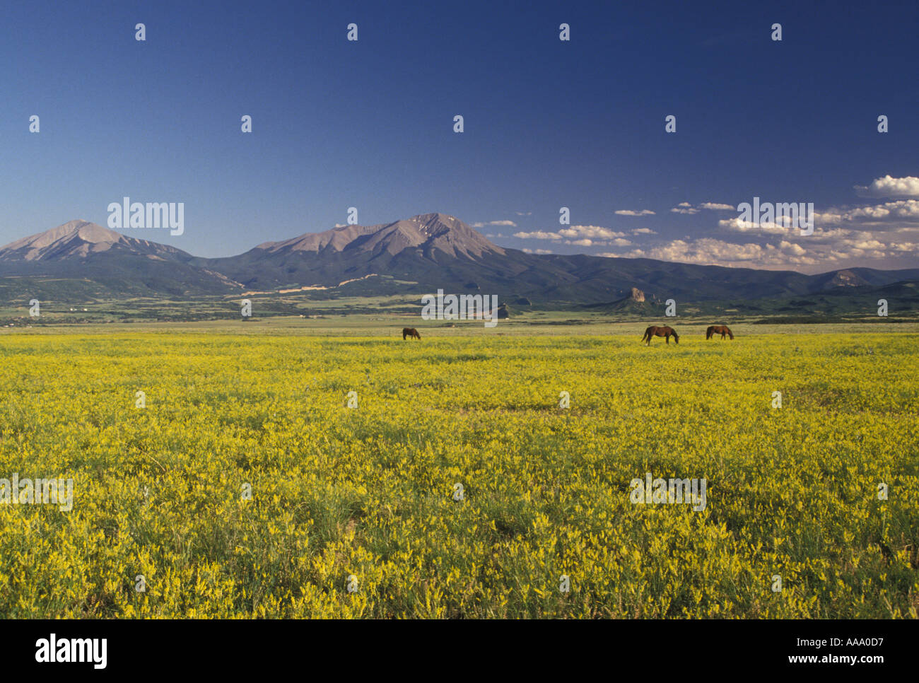 AJ12334, CO, Colorado Stockfoto