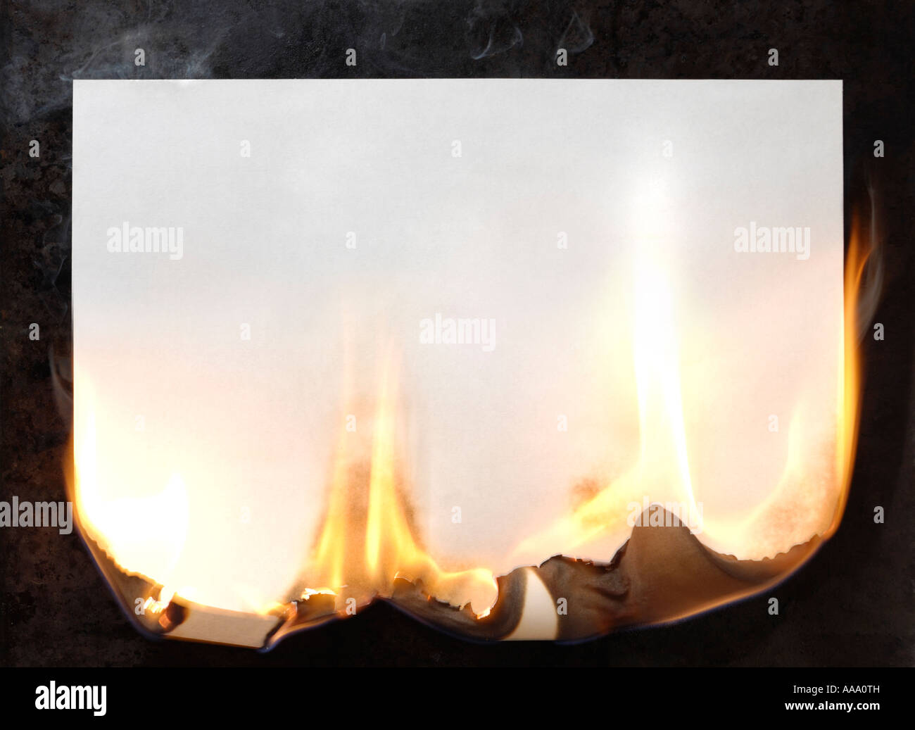 Burning sheet blank white paper Fotos und Bildmaterial in hoher