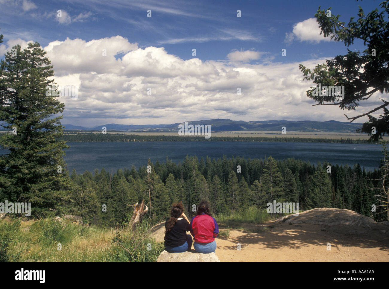 AJ12540, Grand-Teton-Nationalpark, WY, Jackson Hole, Wyoming Stockfoto