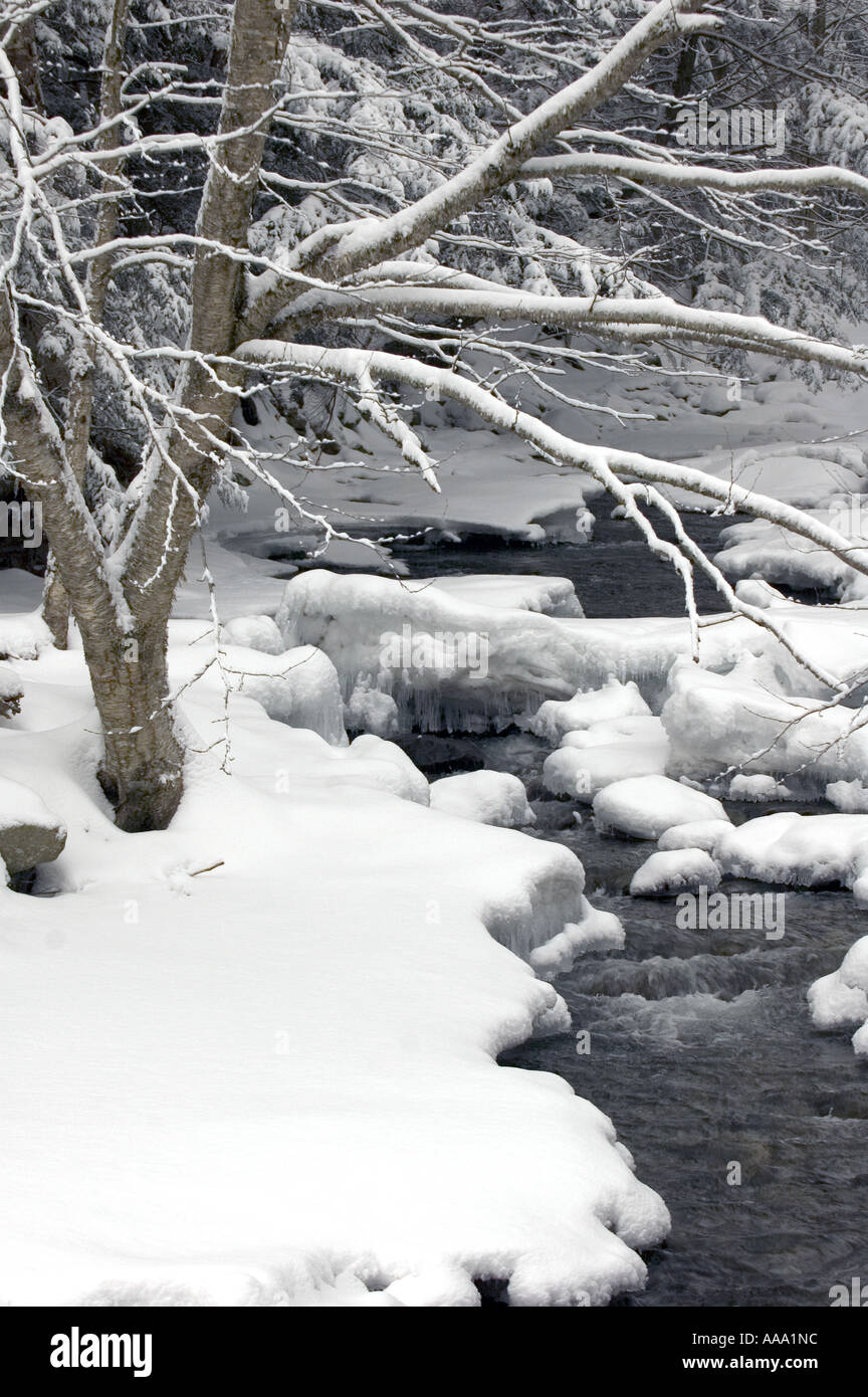 Wasser fließt in einem Bach im Frühjahr in Neu-England. Stockfoto