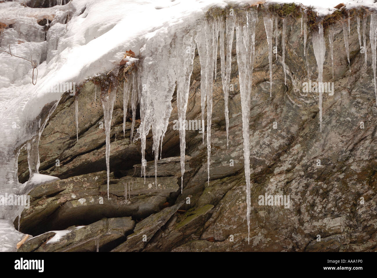 Eis hält sich an Felsen im Frühjahr in Vermont. Stockfoto