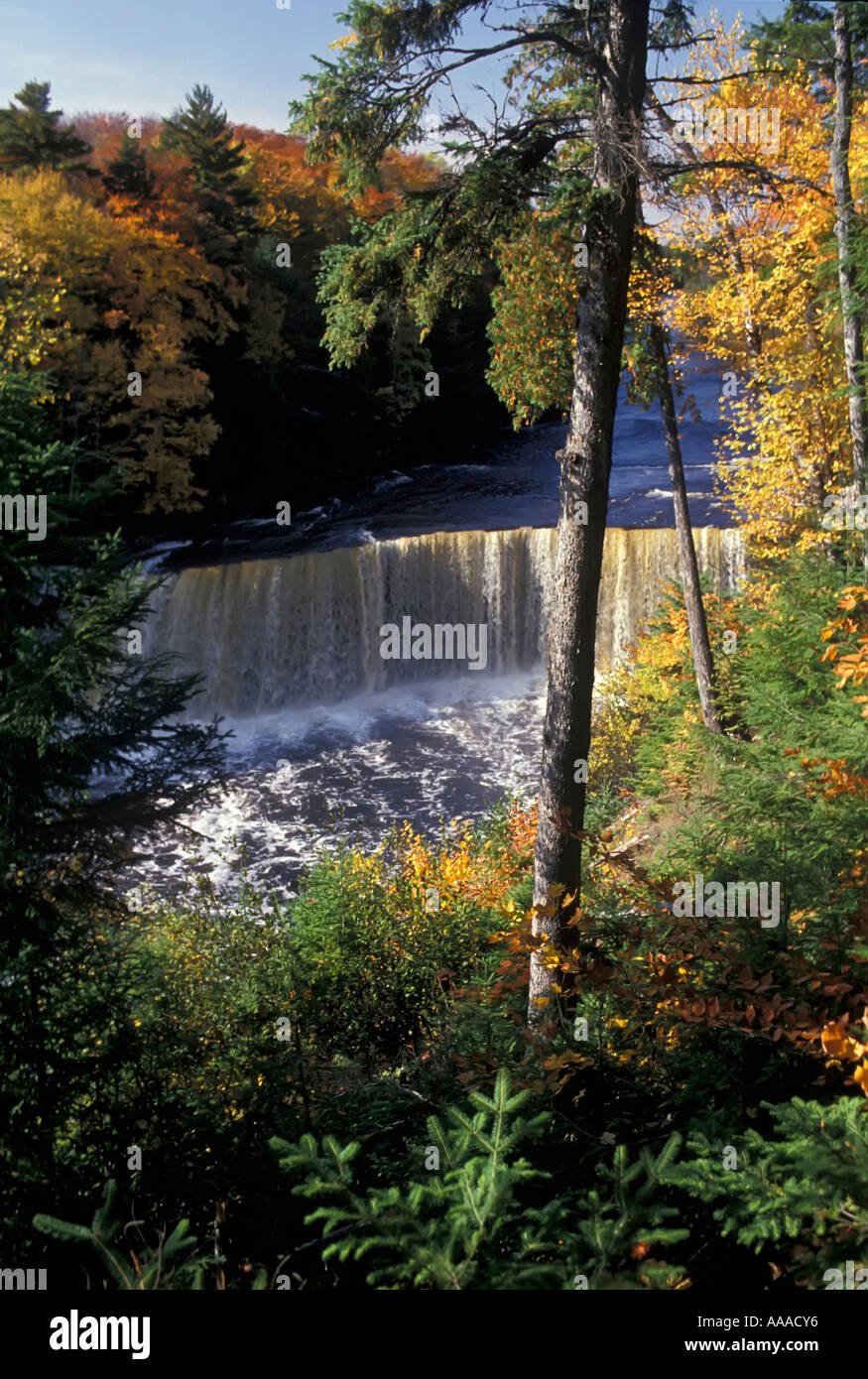 Tahquamenon Wasserfälle State Park in Michigan Upper Peninsula Stockfoto