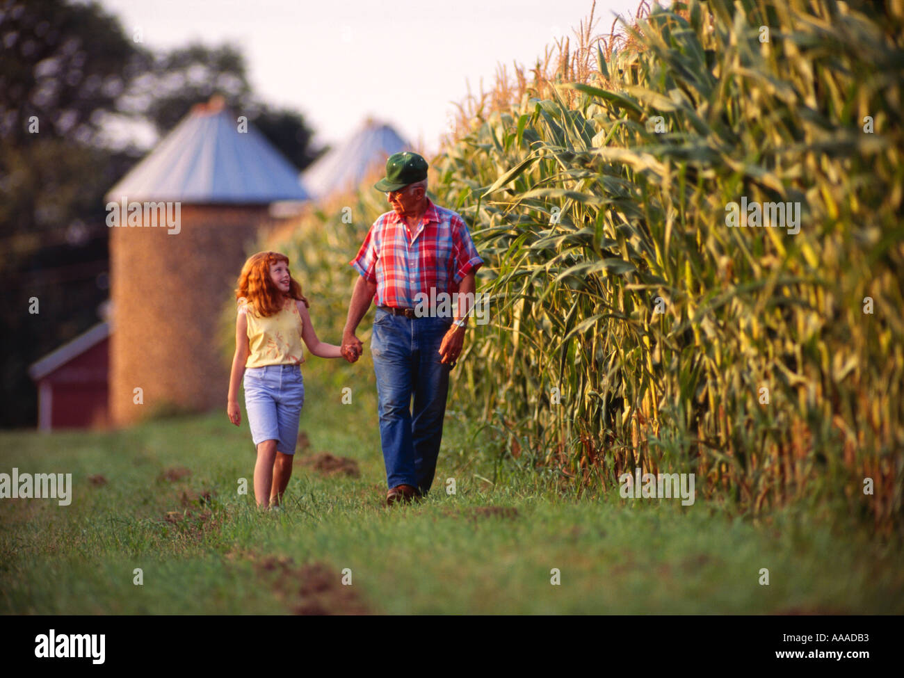 Landwirtschaft - leben auf dem Bauernhof; ein Bauer und seine Enkelin zu Fuß entlang einer Reihe von Mais mit Mais Krippen im Heck / Clinton, Wisconsin. Stockfoto