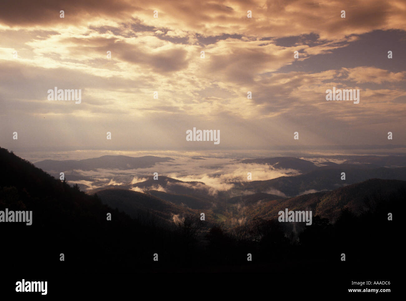 AJ13267, Blue Ridge Pkwy., NC, North Carolina Stockfoto