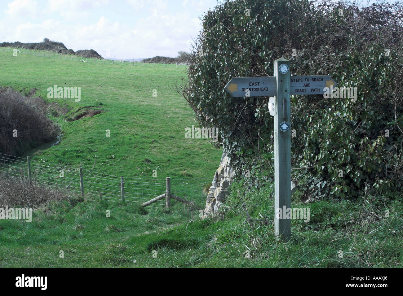 Wanderweg-Zeichen Posten an der Küste im Osten Quantoxhead. Somerset. England Stockfoto