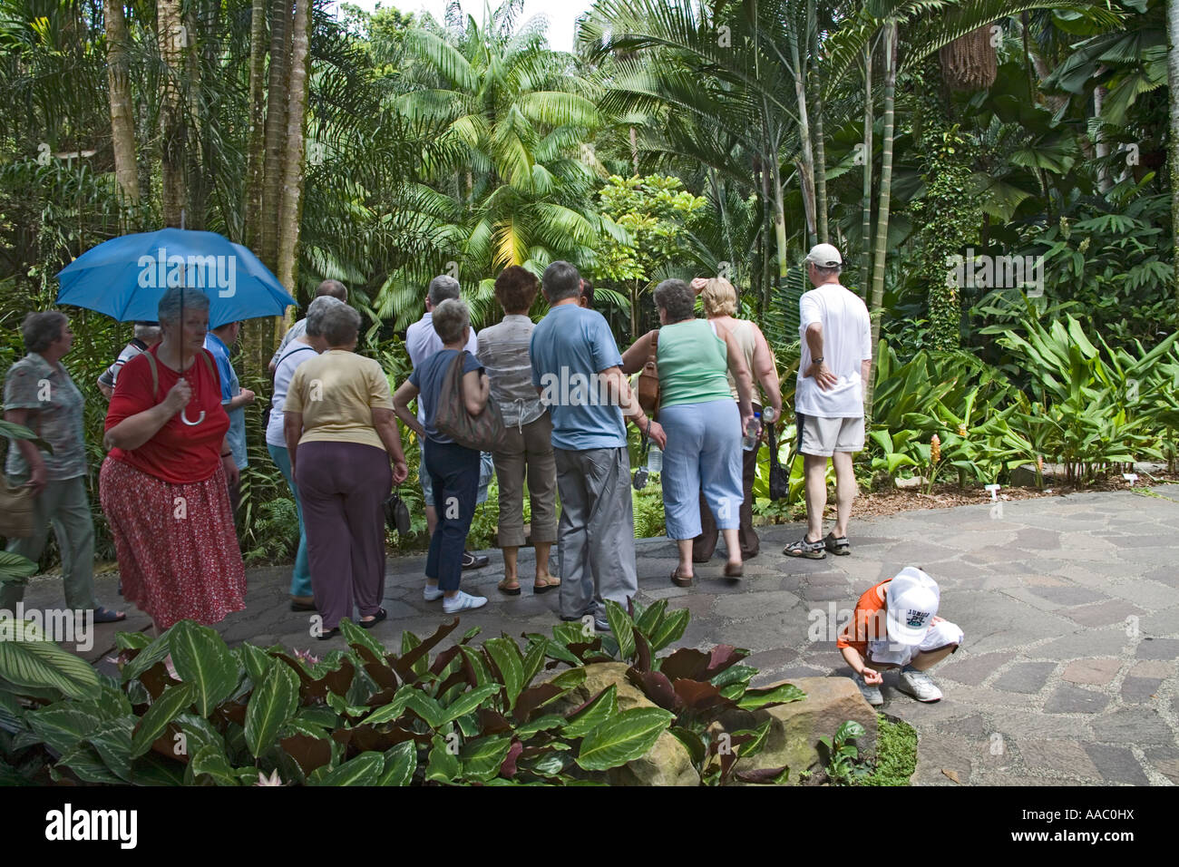Singapur Asien kann eine Gruppe von britischen Touristen anhören der Führer in den botanischen Gärten Stockfoto