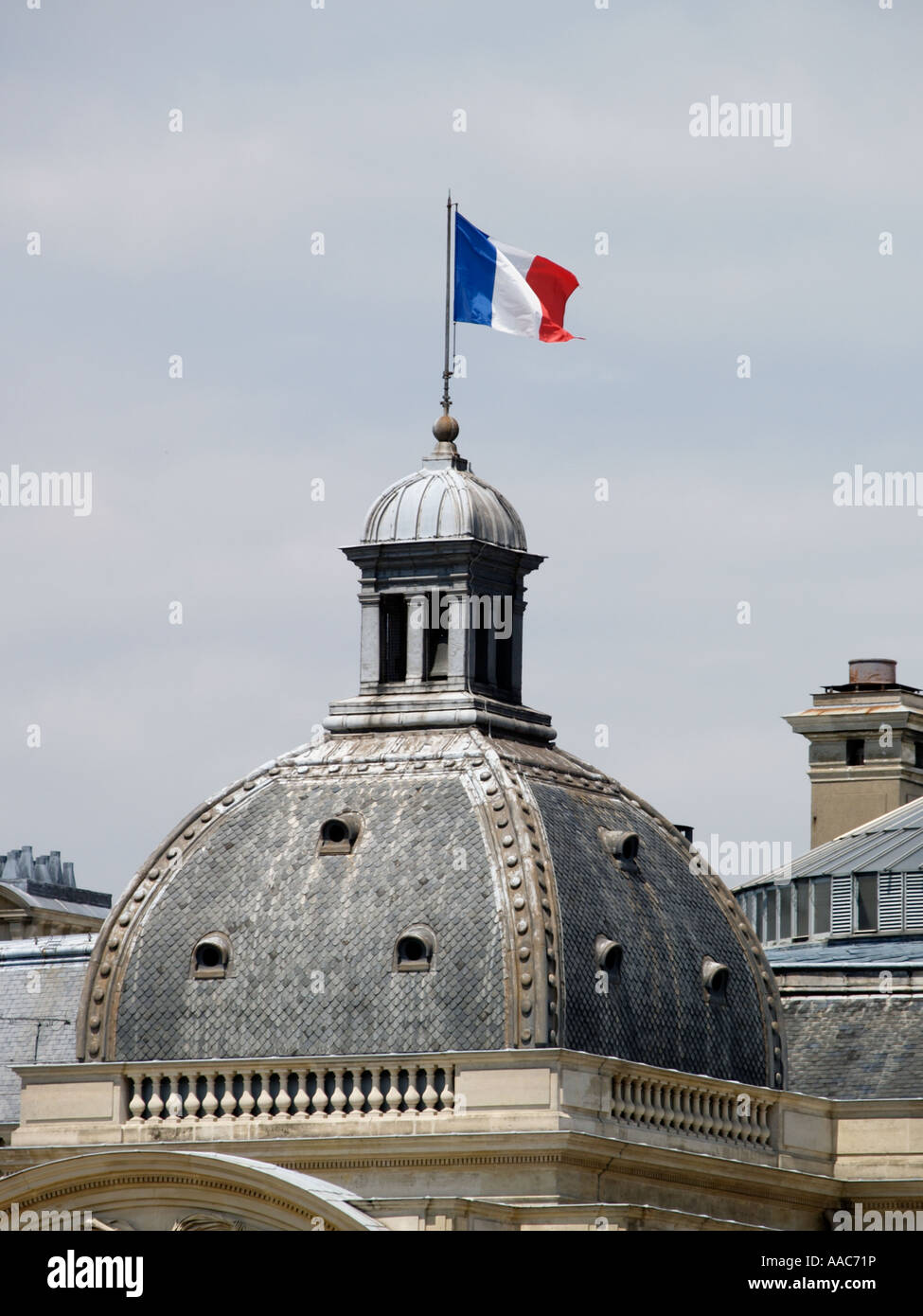 Französische Flagge auf der Palais du Luxembourg Senat Gebäude in Paris Frankreich Europa Stockfoto