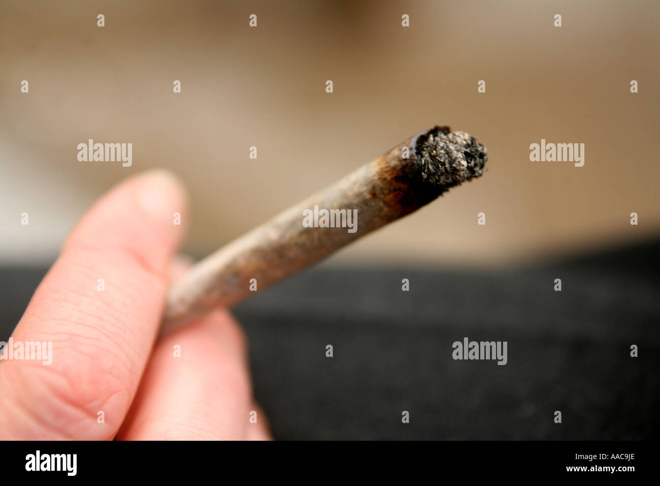 junge Frau Rauchen von Marihuana in einem Coffee Shop in Holland, Niederlande hautnah Stockfoto