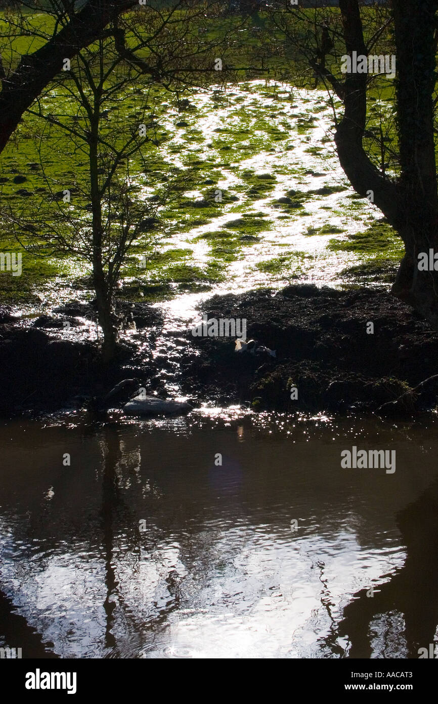 Sonnendurchflutetes Regenwasser ablaufen einer überfluteten Gebiet in den Brecon Monmouth Kanal in der Nähe von Llanellen Gwent UK Stockfoto