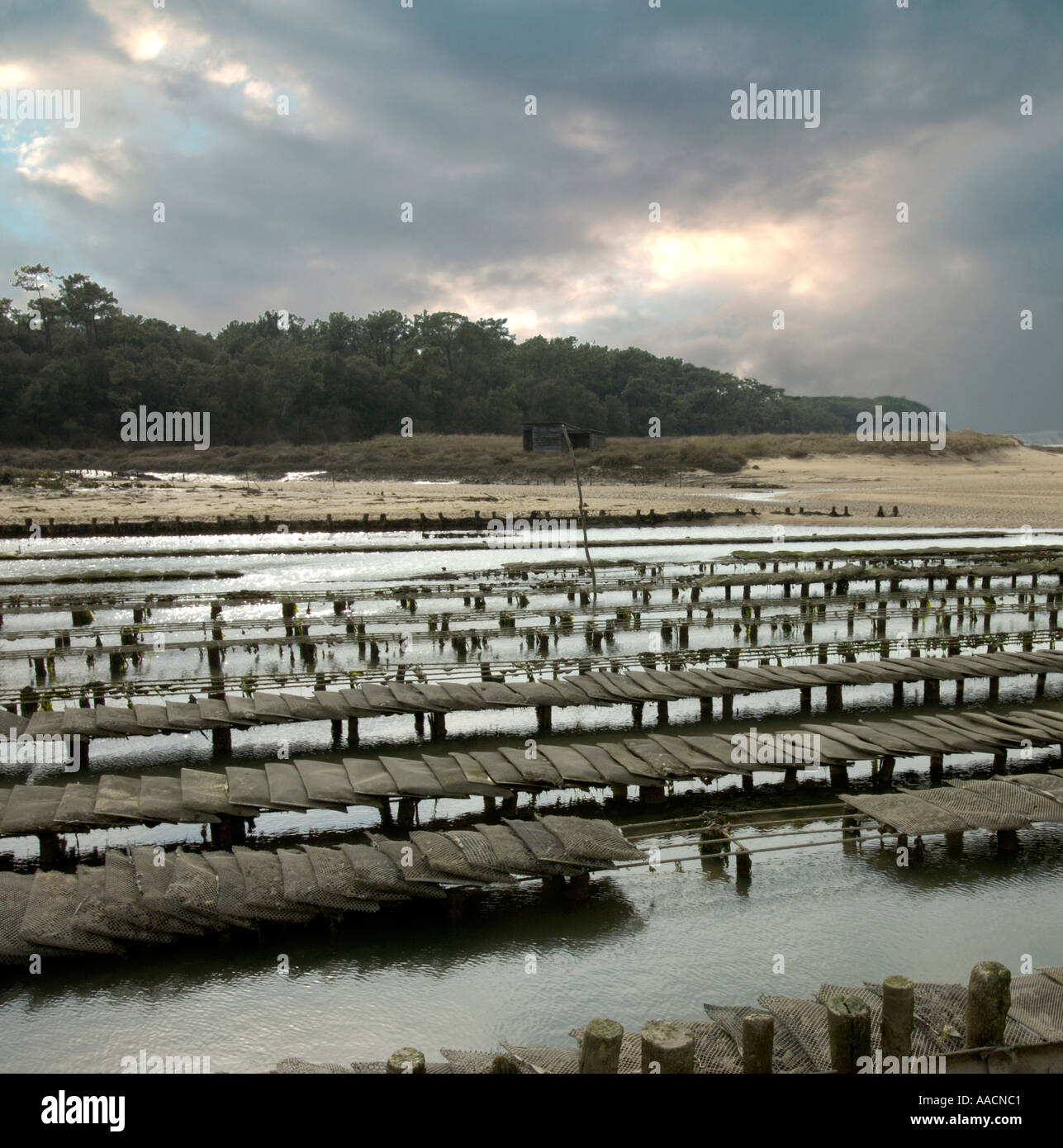 Wasserversogung für Oyster Kultur in der Nähe von Talmont Saint Hilaire Vandee Frankreich Stockfoto