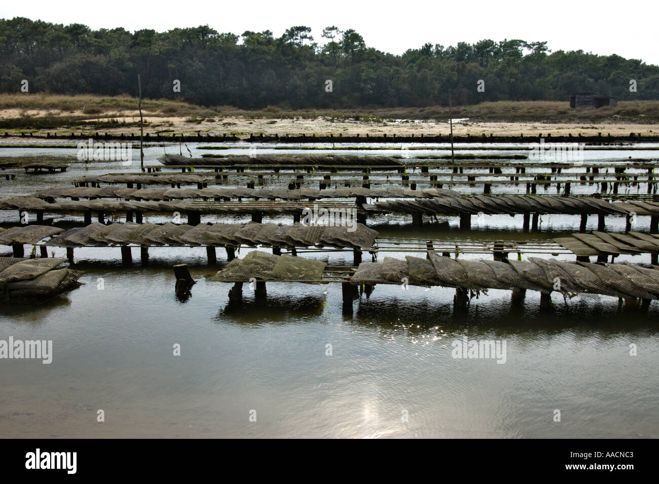 Wasserversogung für Oyster Kultur in der Nähe von Talmont Saint Hilaire Vandee Frankreich Stockfoto