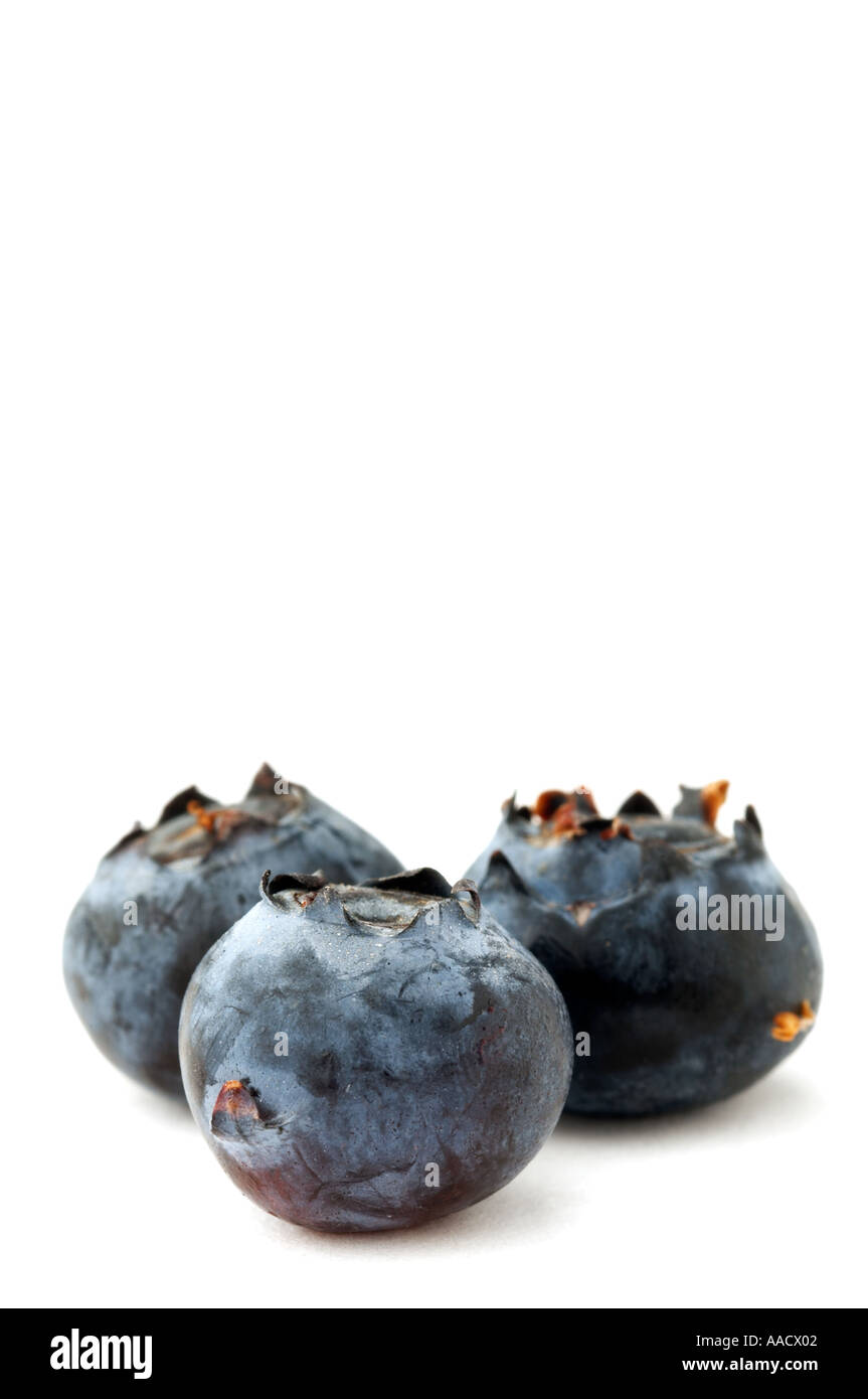 Blaue Beeren Heidelbeeren Heidelbeeren Heidelbeeren Beere Beeren Obst Gesundheit gesund Leben Ernährung Vitamine Naturkost Faser weiche Nahrung Stockfoto