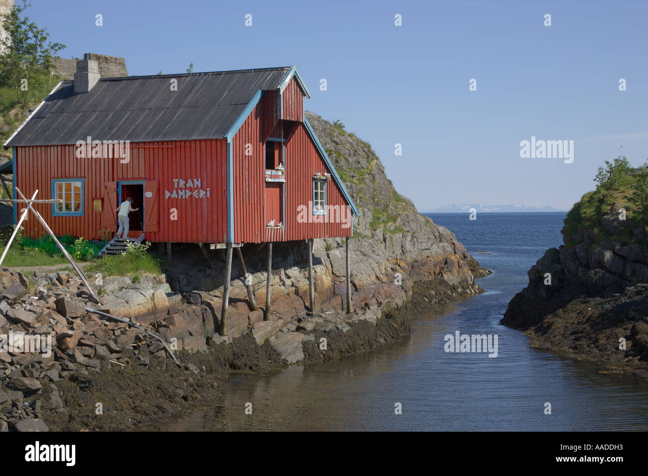 Traditionelles Gebäude, das alte Dorsch Lebertran Fabrik Lofoten-Inseln Stockfoto
