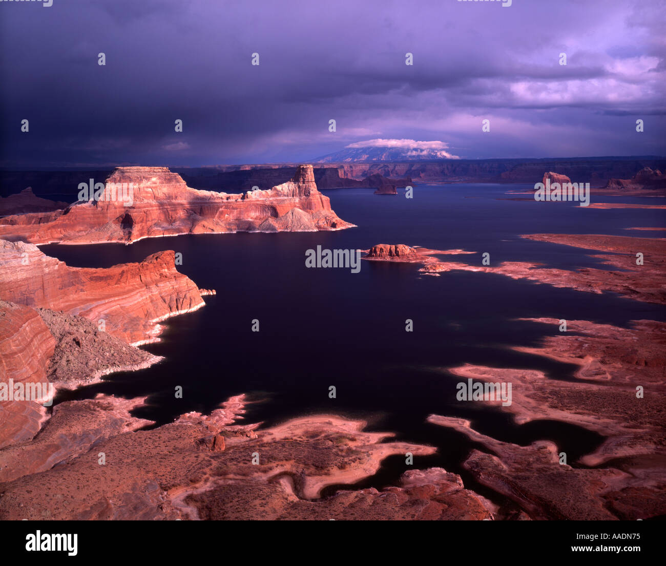 Padre Bay Lake Powell Utah USA Stockfoto