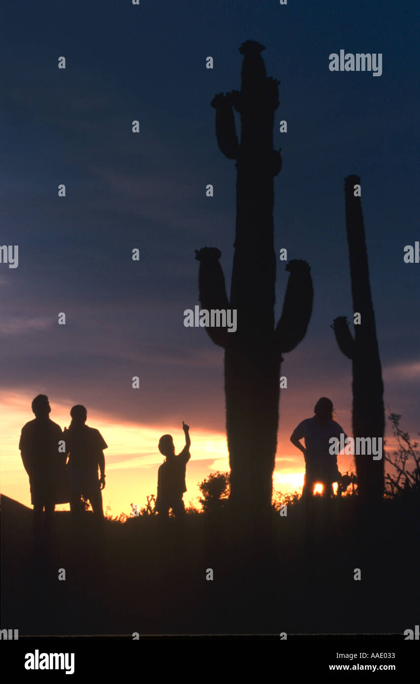 Eine Familie staunt über Saguaro Kaktus Stockfoto