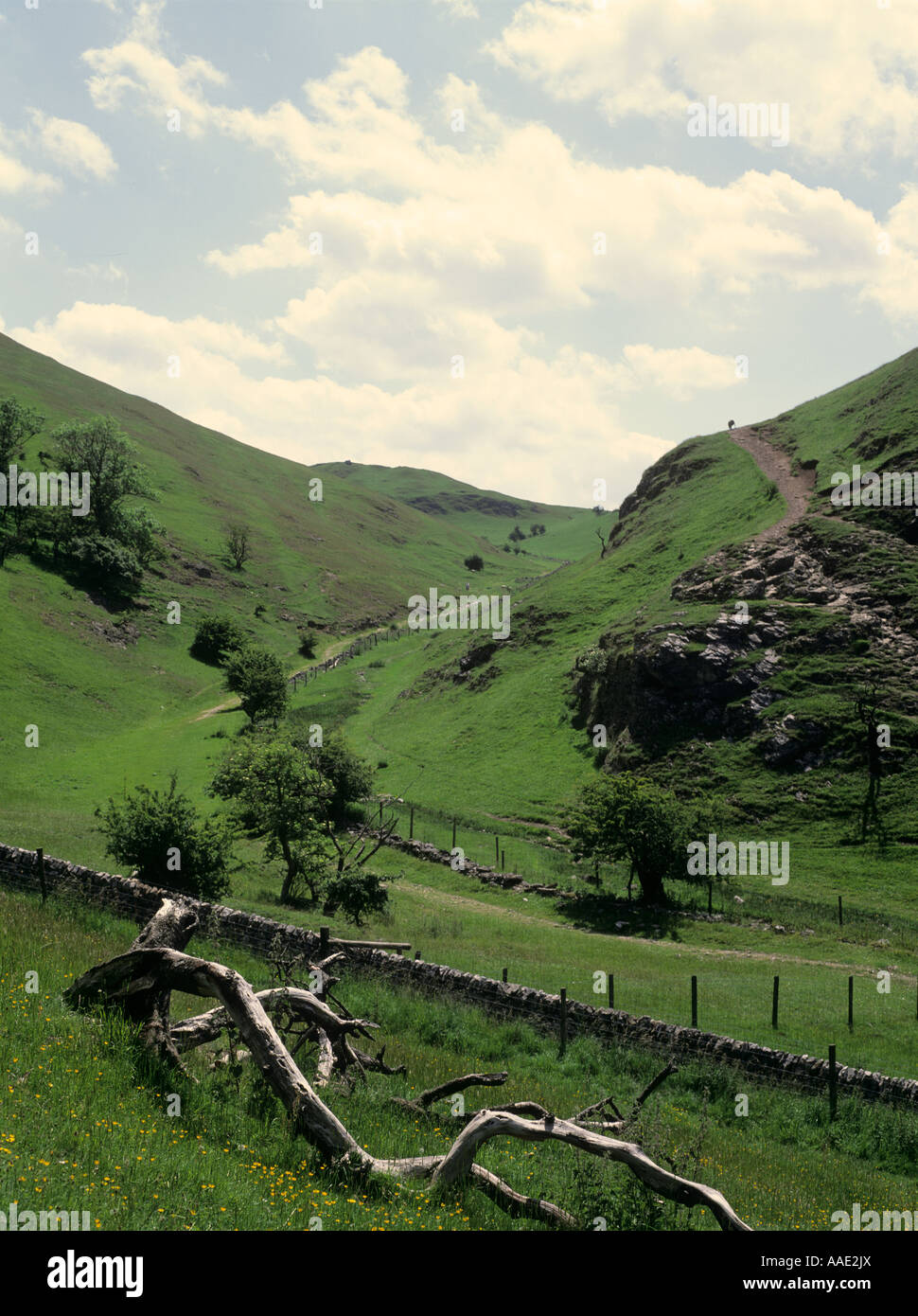 Blick auf die Landschaft in Dovedale Derbyshire UK Stockfoto