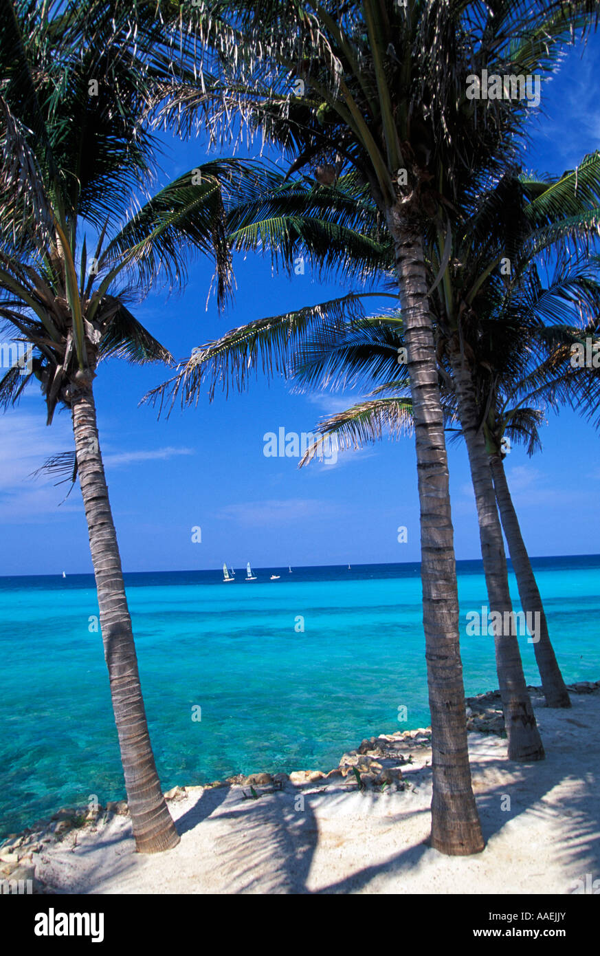 Strand Hotel Melia Varadero-Varadero-Kuba-Caribbean Stockfoto