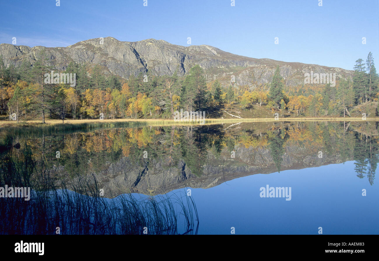 Herbst Farben Stockfoto