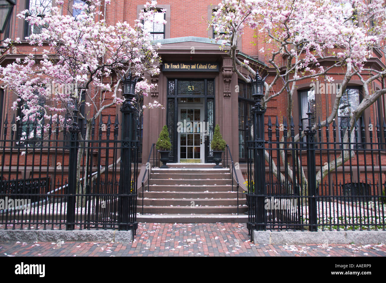 Französische Bibliothek im Frühjahr Boston, Massachusetts Stockfoto