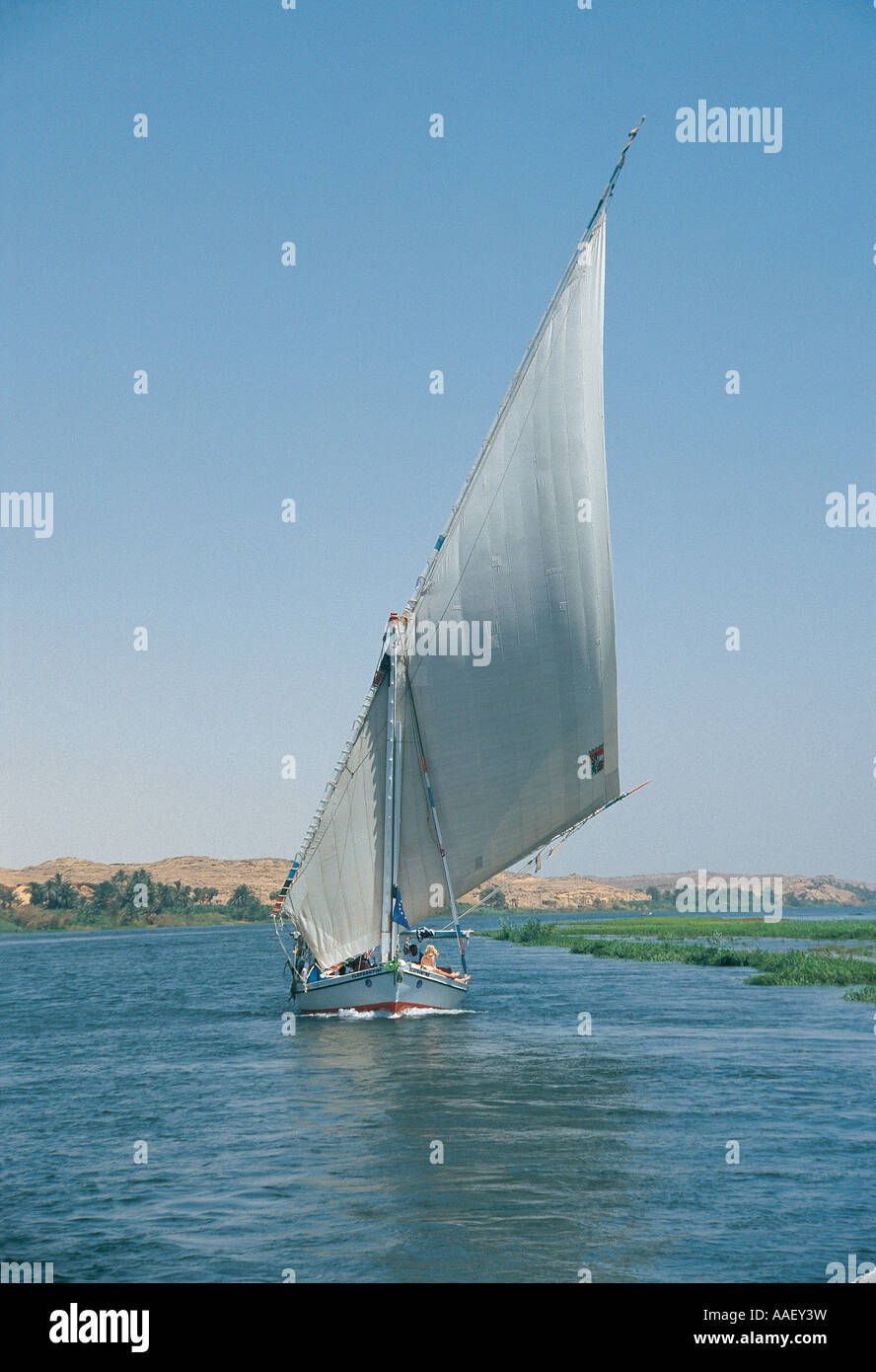 Mit vollen Segeln auf dem Nil Ägypten Feluke Stockfoto