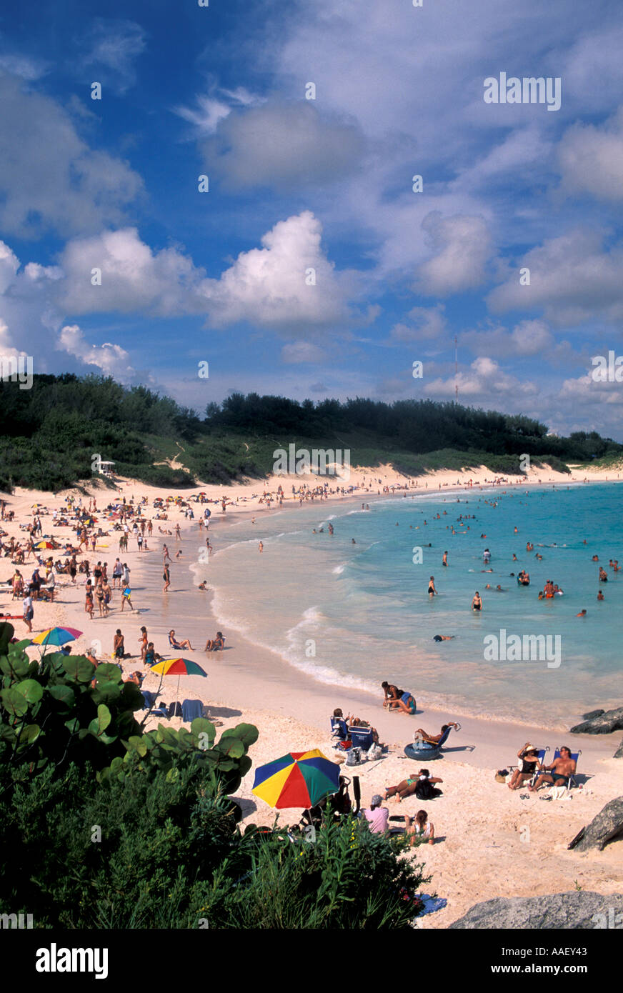 Horseshoe Bay Beach Bermuda Pink Sand Beach Symbol blauer Himmel  Hintergrund Stockfotografie - Alamy