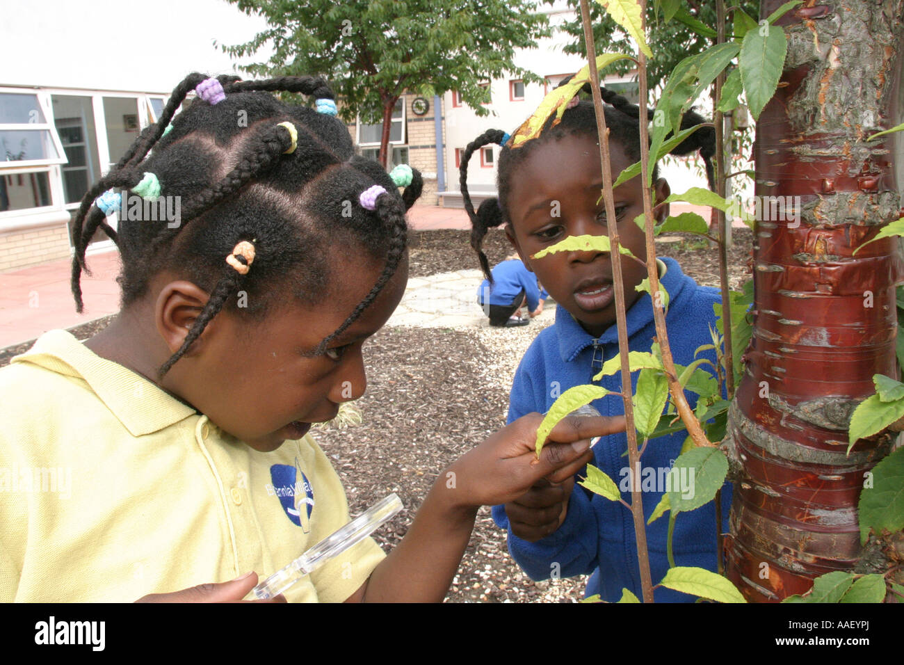 Primäre Schulkinder in der Natur studieren Aktivitäten Stockfoto